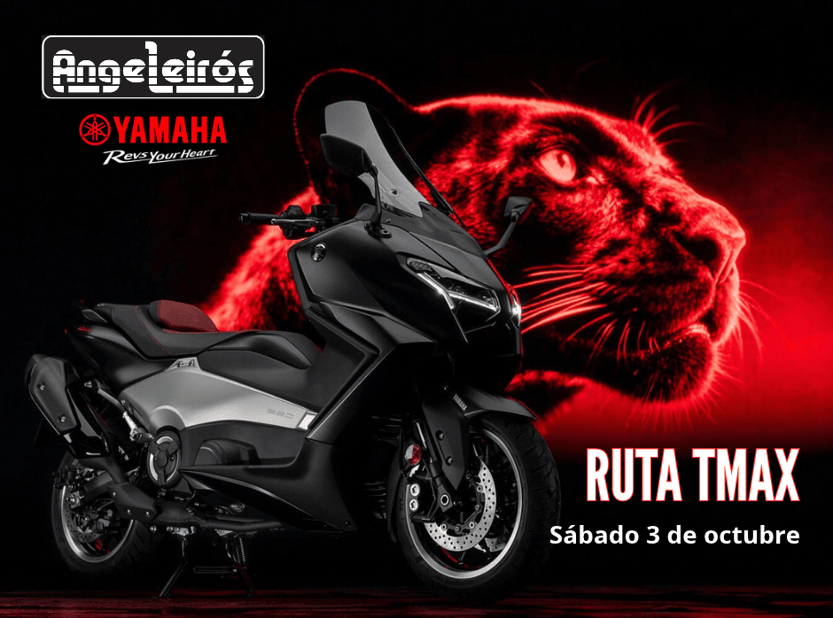 TMAX web – copia